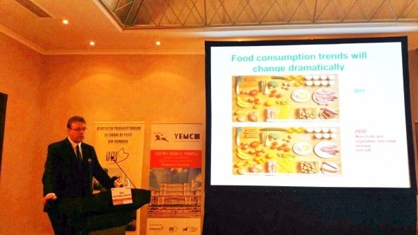 Overview of beef casino