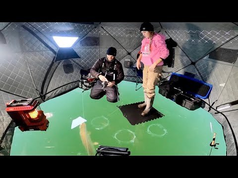 Ice fishing live casino in United Kigdom